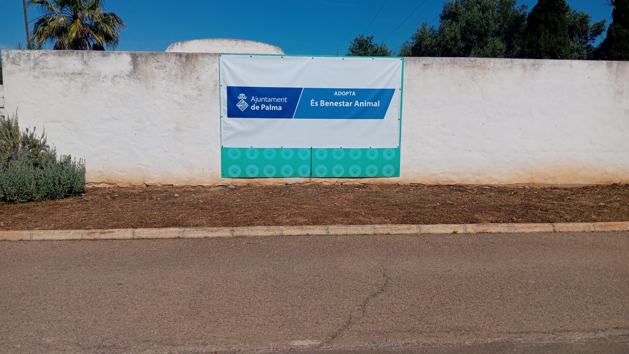 Imagen de la perrera municipal de Palma